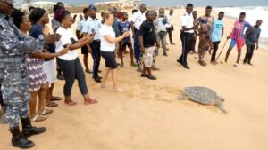 Au Bénin, la protection de ces tortues assurée par des éco-gardes