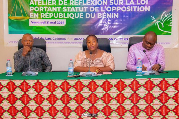 La loi portant statut de l’opposition en République du Bénin au cœur d’un atelier de l’ONG Droits de l’Homme, Paix et Développement